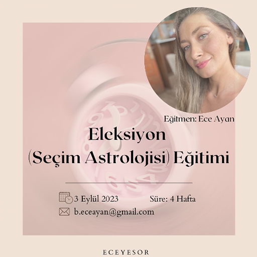 eleksiyon