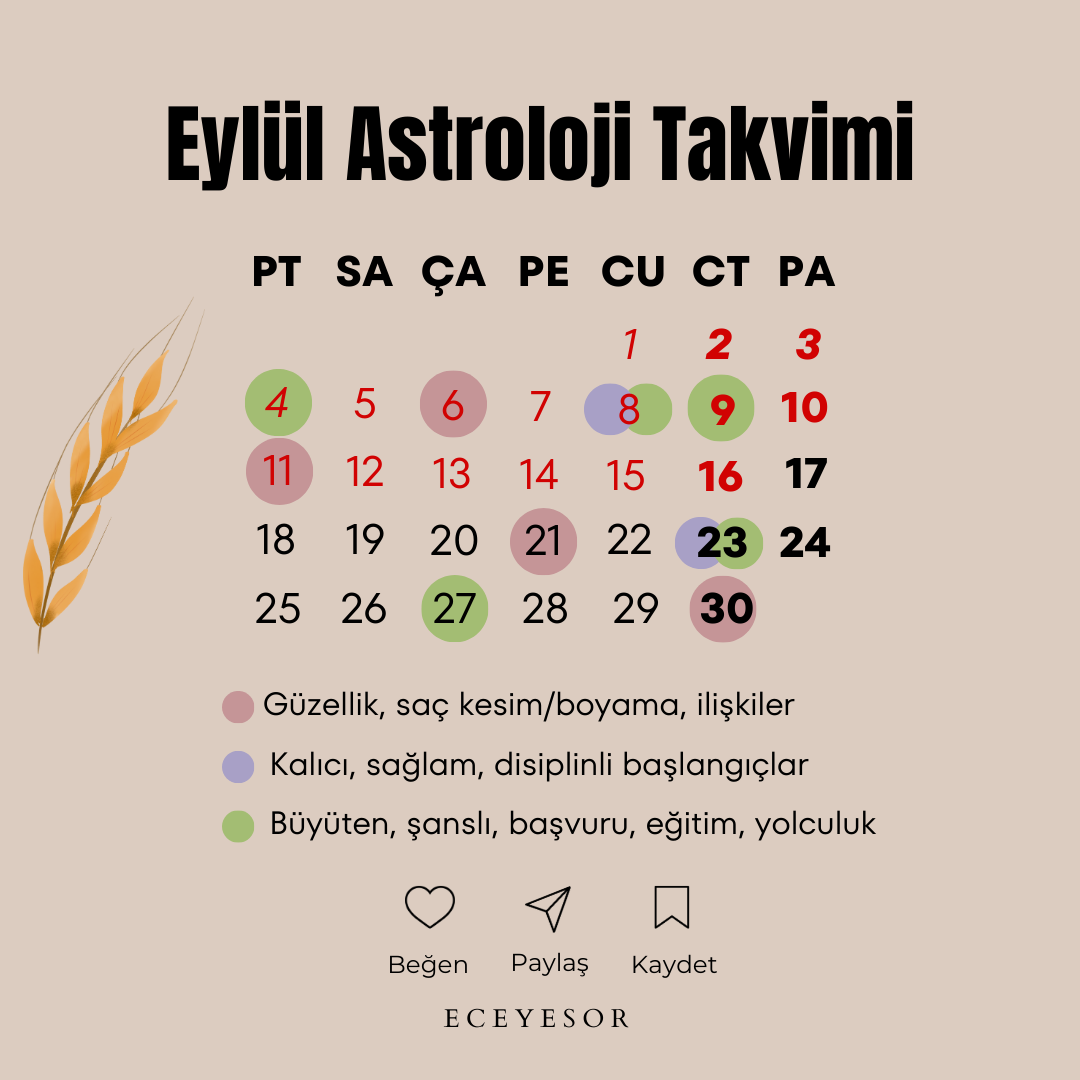 Pembe Sulu Boya Şubat Ayı Takvimi Instagram Gönderisi