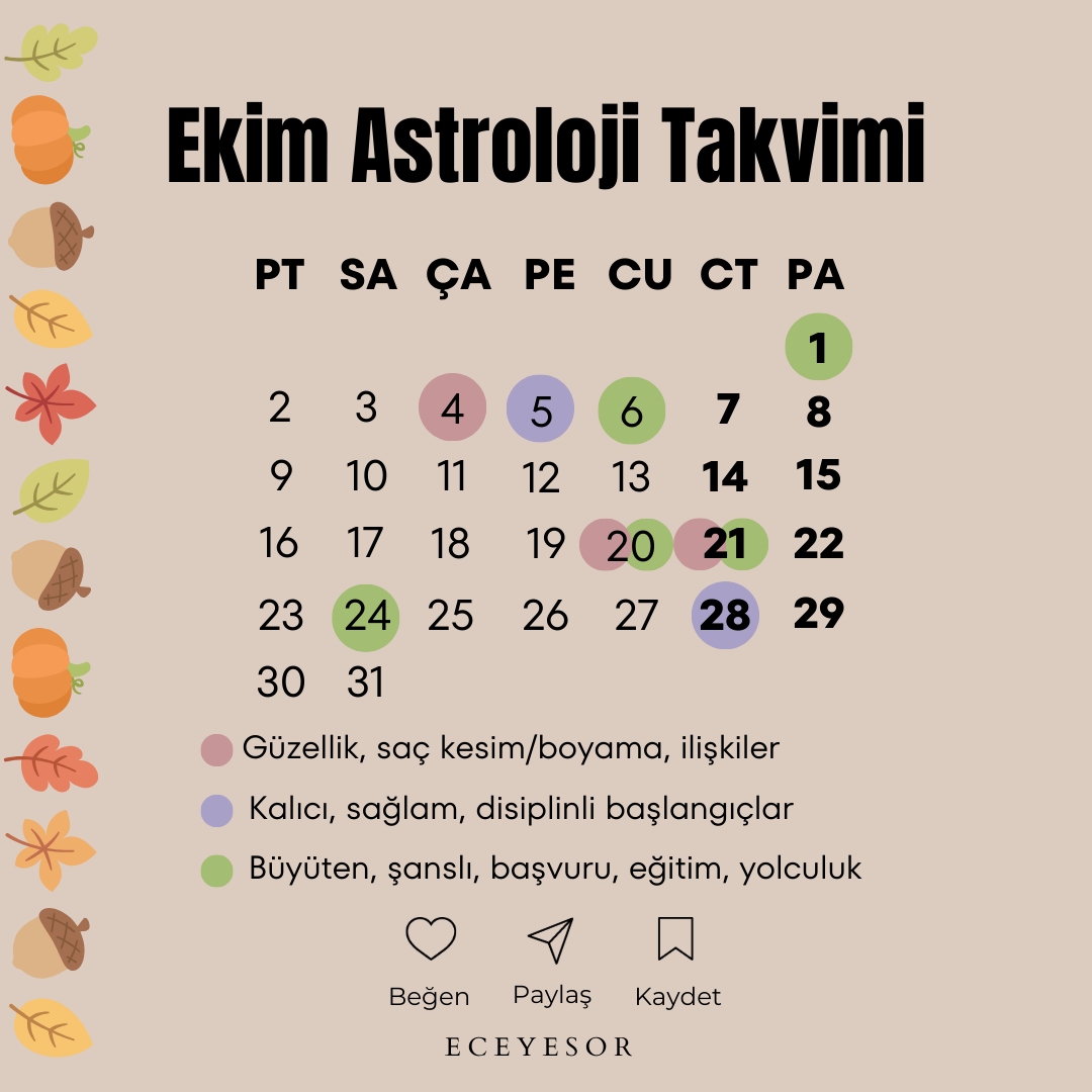 Pembe Sulu Boya Şubat Ayı Takvimi Instagram Gönderisi (1)