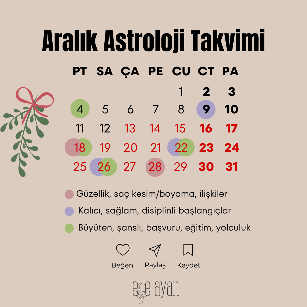 Pembe Sulu Boya Şubat Ayı Takvimi Instagram Gönderisi (2)