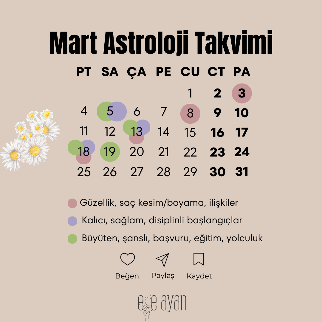 Pembe Sulu Boya Şubat Ayı Takvimi Instagram Gönderisi (3)
